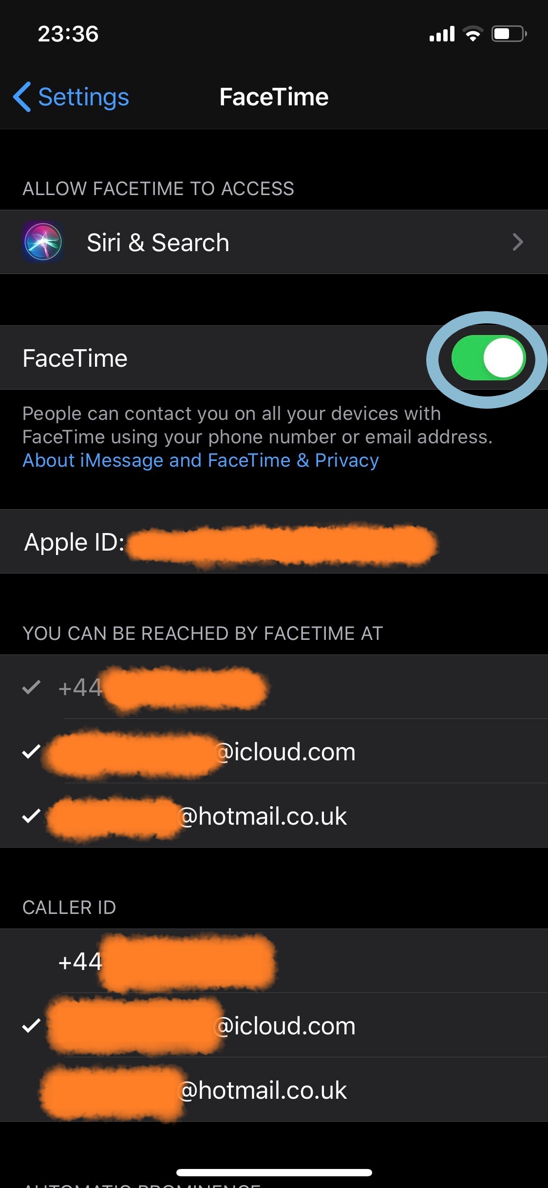 Facetime Screenshot