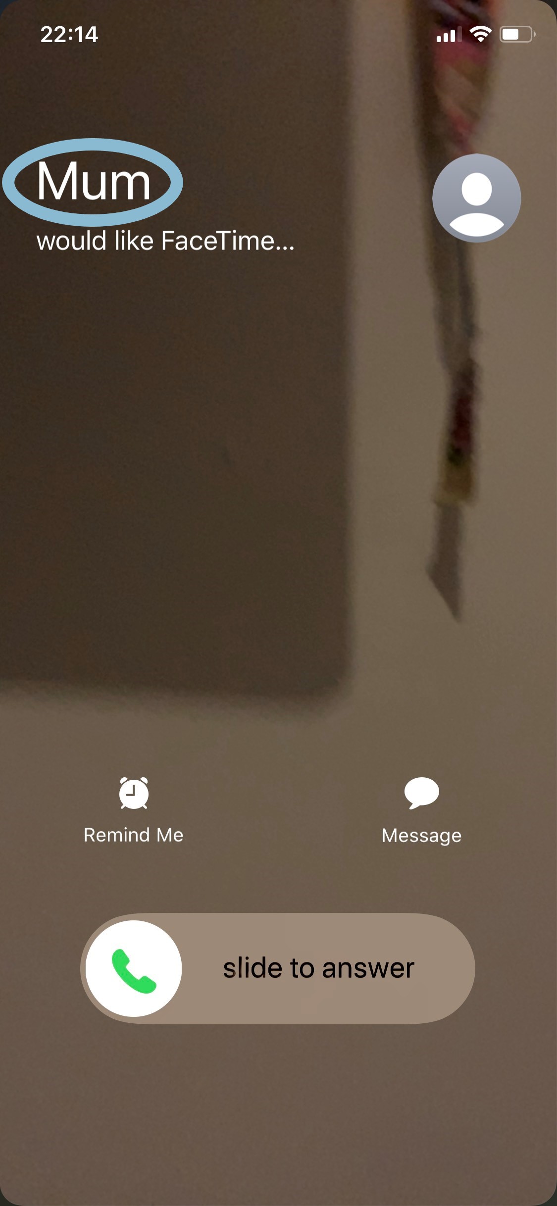 FaceTime Screenshot