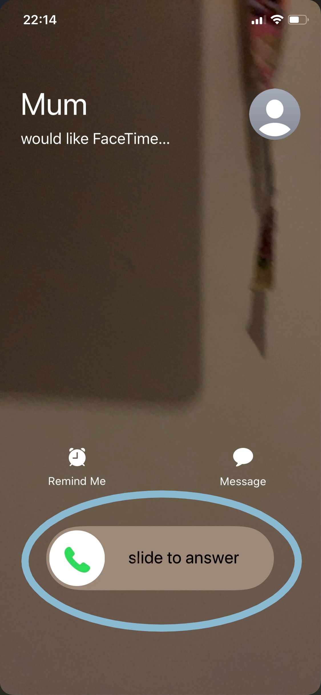 FaceTime Screenshot